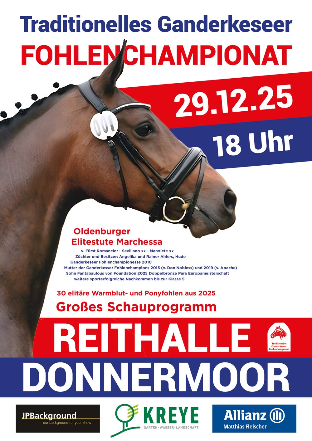 Traditionelles Ganderkeseer Fohlenchampionat 2025